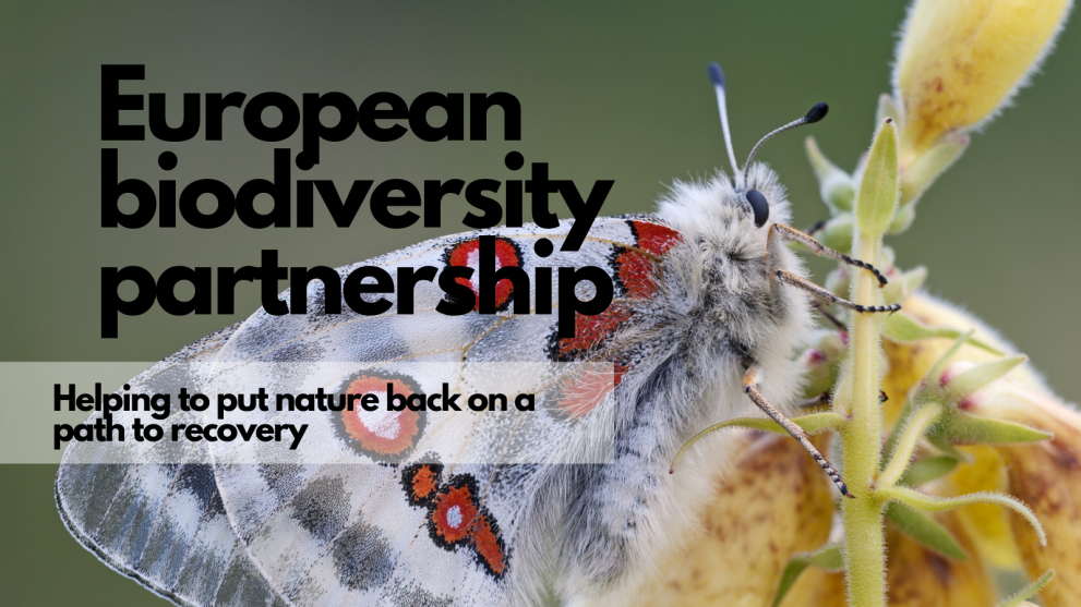 european biodiversity 2022