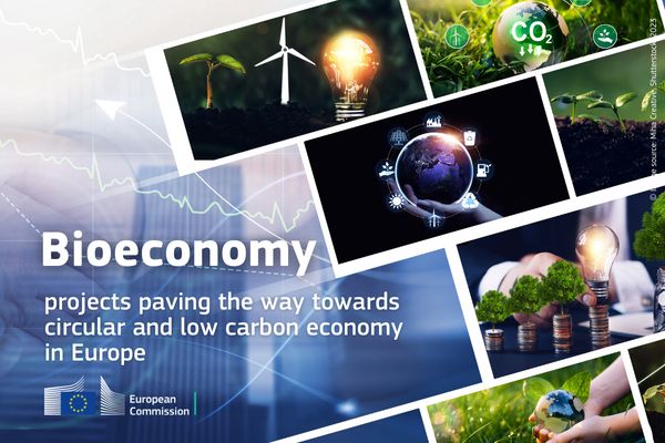A collection of visuals representing bioeconomy – trees and wind power providing energy into a light bulb, hand holding the Earth with symbols of fuel, sun, wind and recycling. On the blue background we can see the writing informs that this article is about projects paving the way towards circular and low carbon economy.