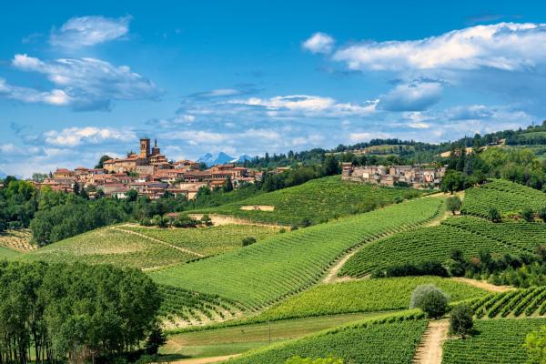 Italian winemaking town