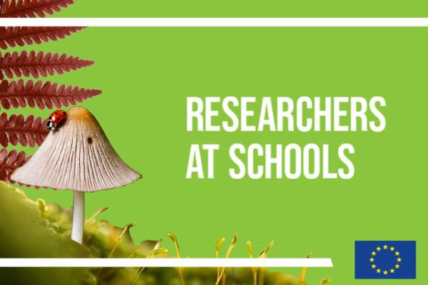 Image depicting a mushroom with a ladybug on it with the text "researchers at schools".