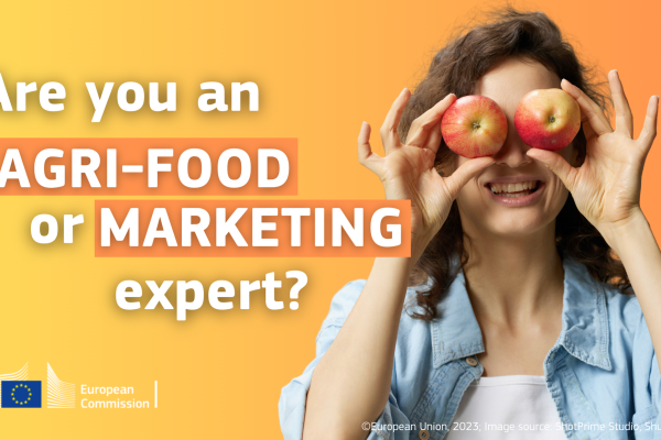 Image featuring a woman with apples over her eyes. Text: Are you an agri-food or marketing expert?