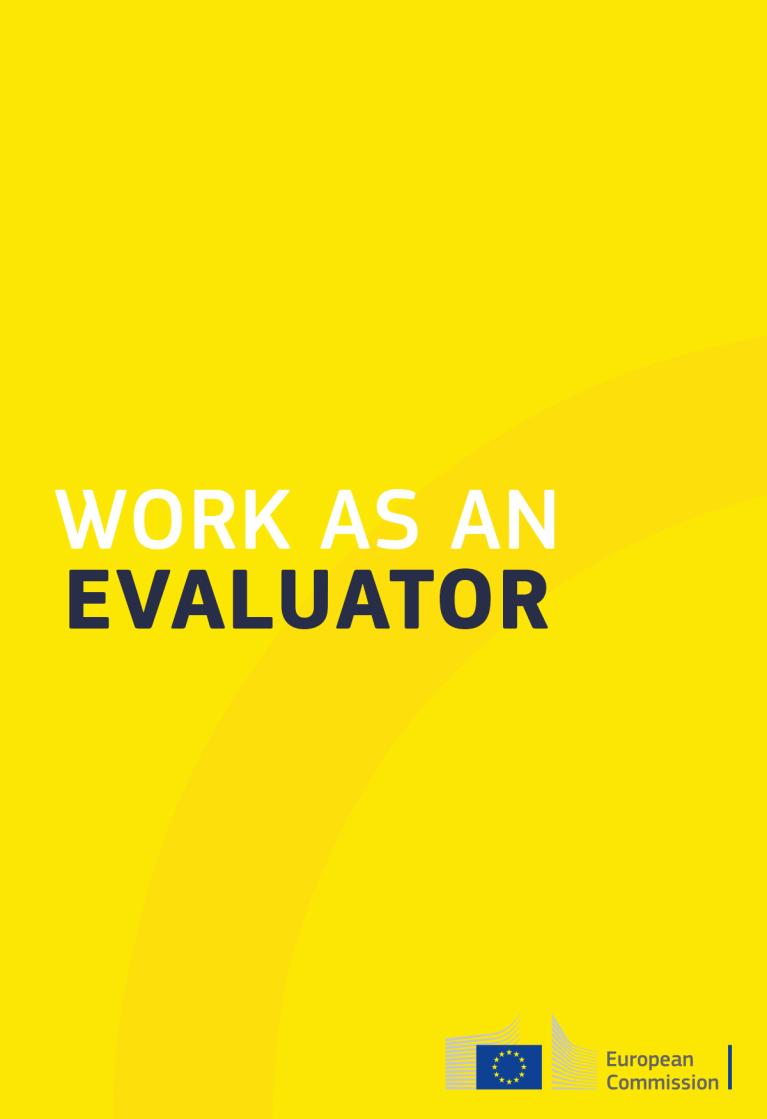 Work as an evaluator